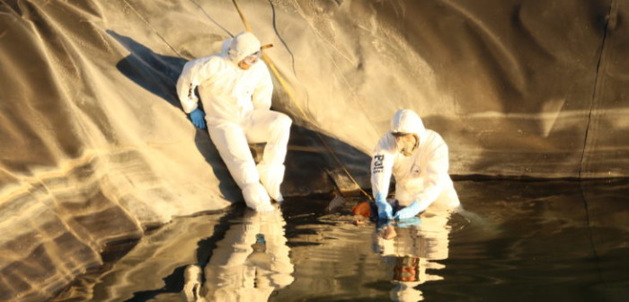 Adulto mayor muere al intentar rescatar a su perro desde un estanque de regadío