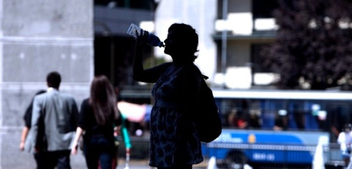 Analizan planes ante altas temperaturas en el Bío Bío: termómetros superarán los 30°C