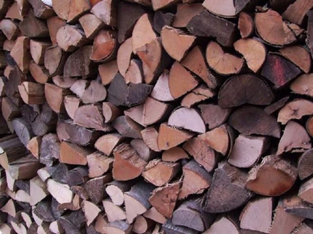 Ahora es un ratoncito el que se oculta entre la leña ¿Podrás encontrarlo?