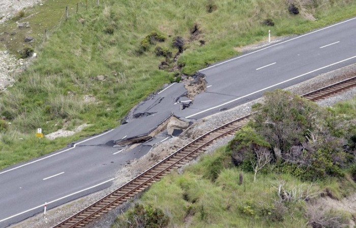 Video muestra milagrosa forma en que vacas sobrevivieron a terremoto en Nueva Zelanda