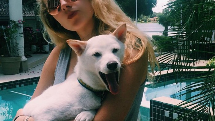 La adorable reacción de una perrita al conocer a su ídolo ¡Se hizo viral!