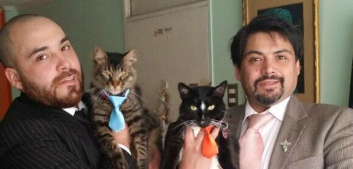 Los desoladores mensajes de pareja de víctima tras colisión de Transantiago