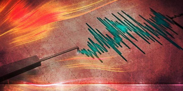 Sismo de ligera magnitud afectó al Bío Bío y La Araucanía