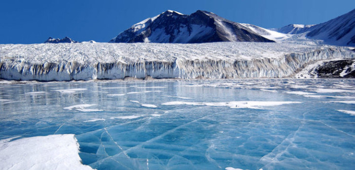 Robot graba la vida bajo el hielo en la Antártida y revela un mundo colorido