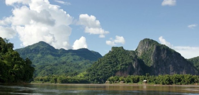 Serpiente arcoíris y lagartija cornuda destacan entre 163 nuevas especies descubiertas