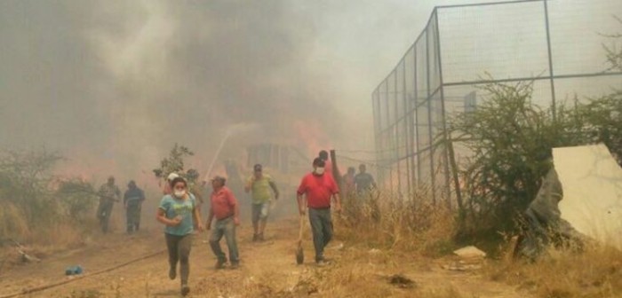 Brigadistas y vecinos de Cauquenes luchan contra fuego que amenaza la población Loyola