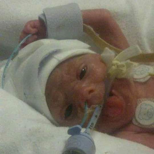  Reece/ Kirsty Farbrother | Facebook