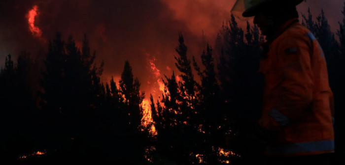 Los falsos rumores sobre incendios forestales que se viralizan en redes sociales