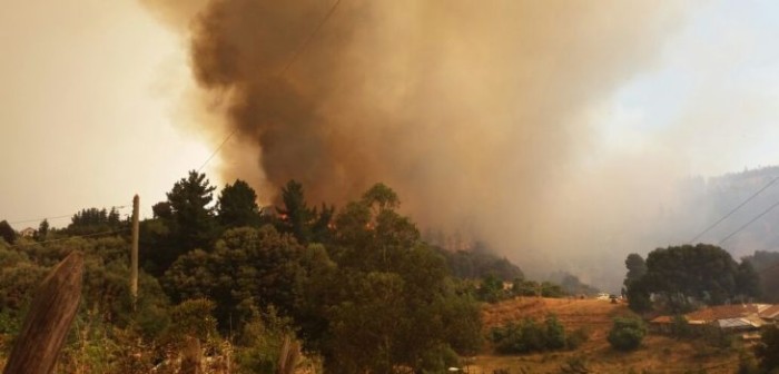 Decretan Alerta Roja para Valdivia por dos focos de incendios forestales