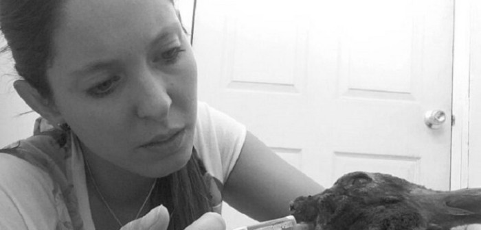 Conmovedora recuperación de conejito herido en el Maule emocionó a las redes sociales