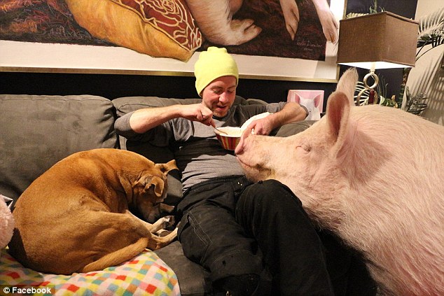 Esther: la chanchita maravillosa | Facebook