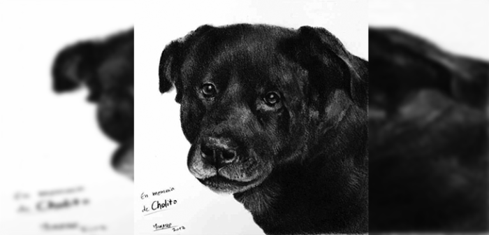 Sin medidas cautelares quedan imputados por agresión y muerte de 