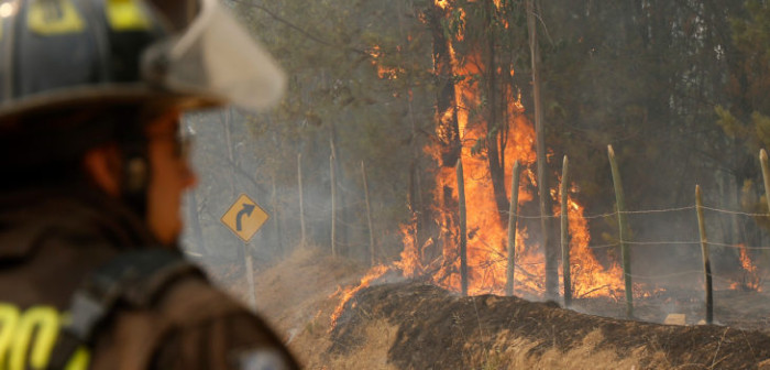 Nuevo Balance de Conaf: 48 incendios se mantienen activos a lo largo del país