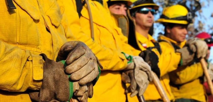 Conaf alerta ante vientos de entre 25 y 40 kilómetros por hora en la región del Bío Bío