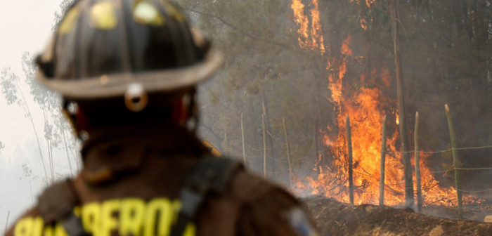 Bomberos respalda hipótesis que responsabiliza a compañía eléctrica del fuego en Pumanque