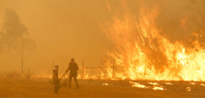 Onemi: 42 incendios activos en todo Chile y amplían zona de catástrofe a todo el Maule
