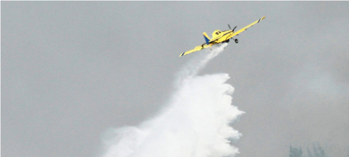 Director de la Conaf asegura que 