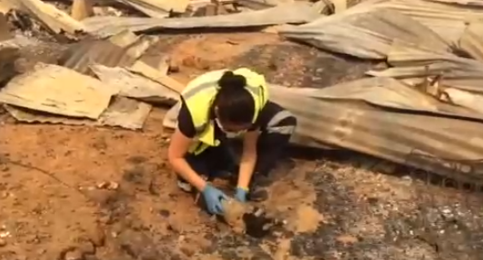 El conmovedor rescate de un perrito entre las ruinas del siniestrado poblado de Santa Olga