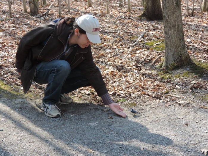 Héctor Pastén: el joven chileno que enseña matemática avanzada en Universidad de Harvard