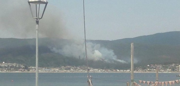 Fuego cambia de dirección en Dichato: levantan orden de evacuación en Menque