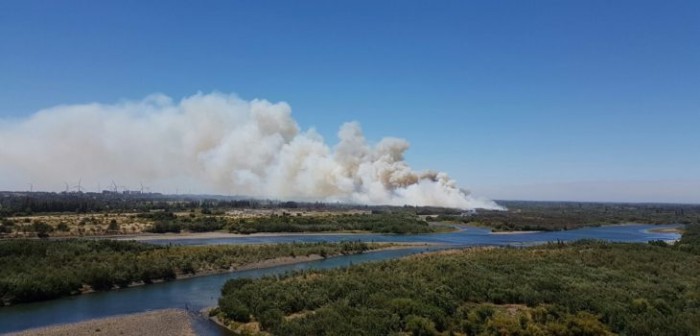 Aumentan a 37 los incendios activos a nivel nacional según último balance de la Onemi