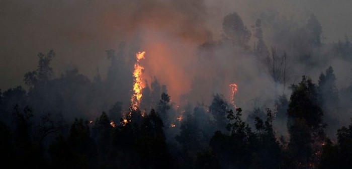 Declaran Alerta Roja en Padre Hurtado por incendio forestal en Cuesta Barriga