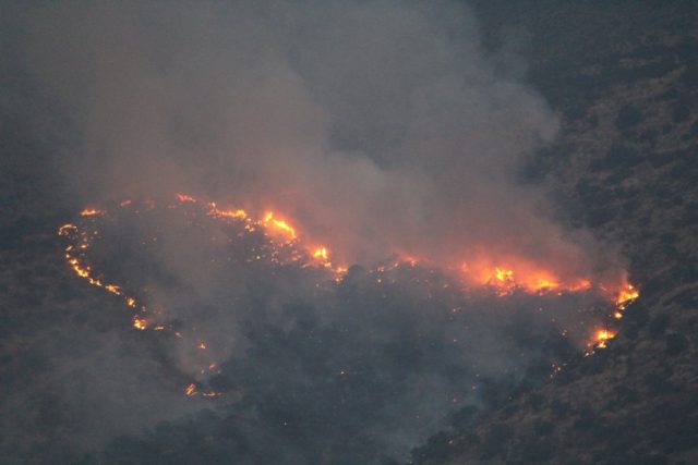 Incendio afecta a Camino El Papagayo en la comuna de Talagante