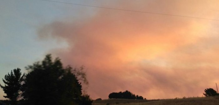 Decretan Zona de Catástrofe para la comuna de Bulnes tras incendio forestal