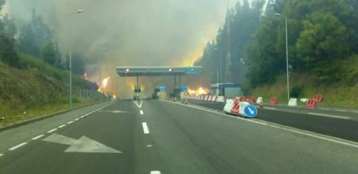 Incendio forestal afecta al sector de Cosmito en las cercanías de Concepción