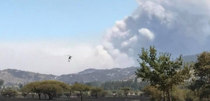 Declaran Alerta Roja para la región de O'Higgins por 7 incendios forestales activos