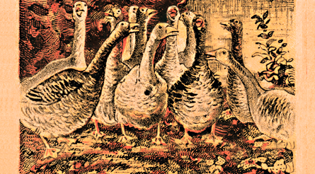 Sólo 1 de 8 personas pueden resolverlo ¿Ves al zorro esperando para comerse a los gansos?