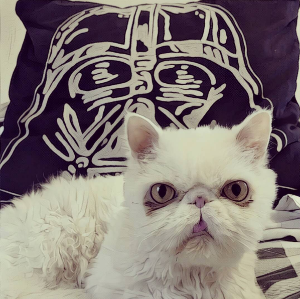 sinbad_cosplaycat | Instagram