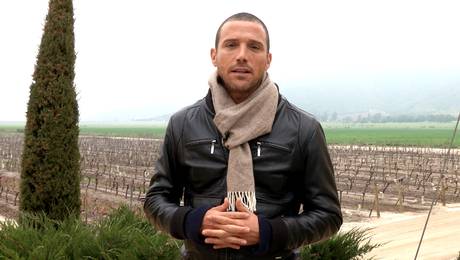 Julián Elfenbein sorprendió con imagen de su llamativo look de juventud