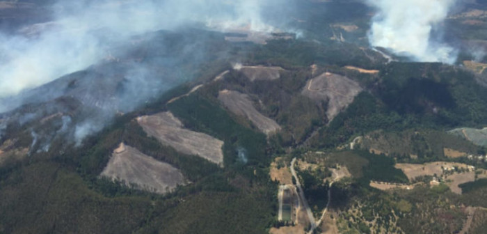 Sorpresa en La Araucanía tras ser declarada en Estado de Catástrofe