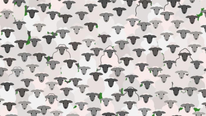 Hay una cabra escondida entre las ovejas ¿Puedes verla?