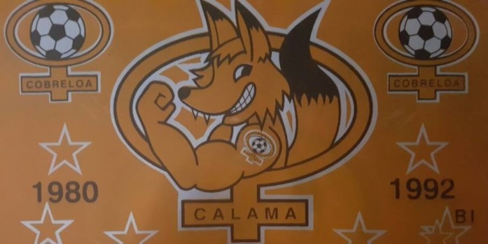 Se disfrazó de mascota de Cobreloa para pedir matrimonio su novia en el entretiempo