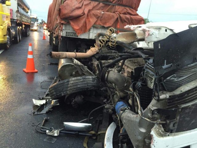 Cedidas por Christian Negroni a BioBioChile