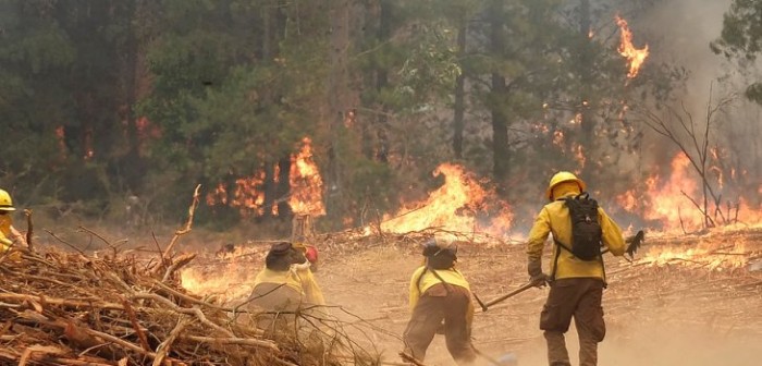 Conoce el último balance de los 56 incendios forestales que se mantienen activos