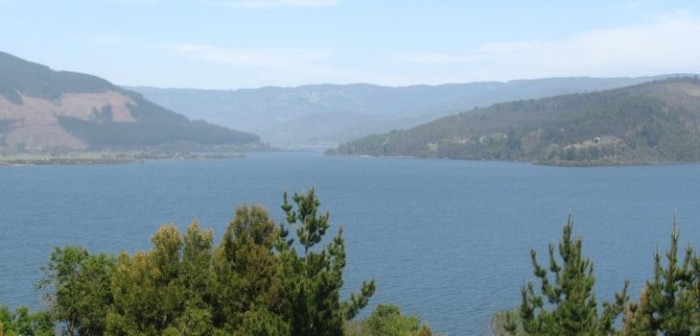 Joven de 23 años muere ahogado en el lago Lleu Lleu en Tirúa: acampaba con sus amigos