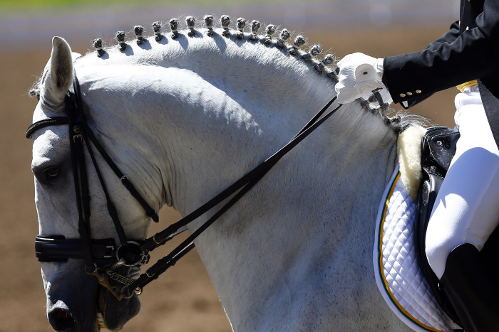 Equitación: Jinete chileno Uri Rosenzweig gana concurso 4 estrellas en España