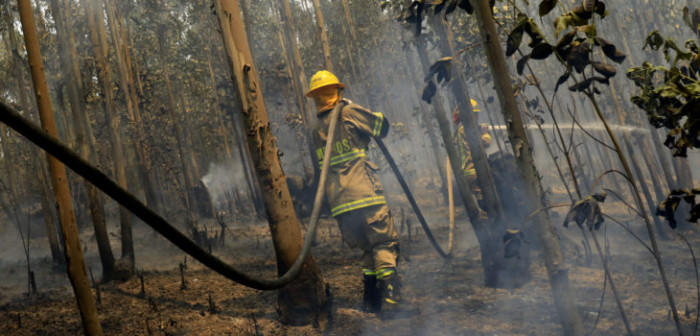 Peligra aporte de 4 mil millones por glosa presupuestaria que beneficia a bomberos del sur