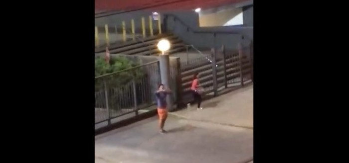 Detienen a hombre acusado de agredir a su pareja tras difusión de video en Valdivia