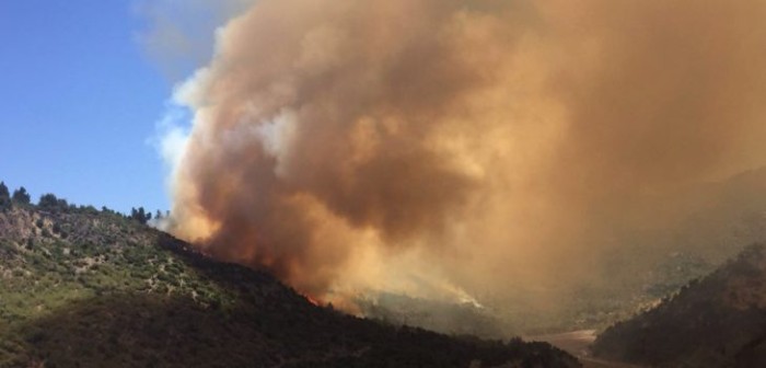 Alerta Roja por incendio forestal que afecta a cerros en Coya, en cercanías de Rancagua