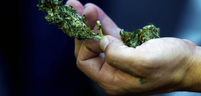 OS7 de Temuco detiene a vendedor y receptor de más de 50 mil dosis de marihuana