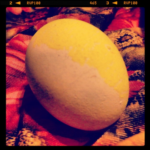 Gabriela Ulloa | Página 7