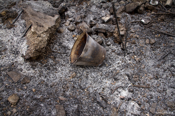 Encontraron a bebé ahogada dentro de un balde en Argentina: había sido violada