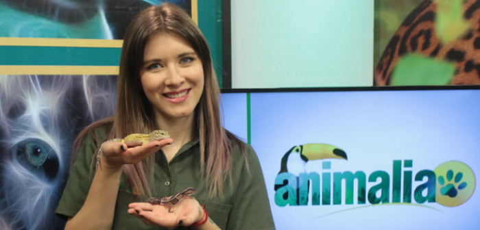 El descargo de Carla Jara tras trolleo por insólita pregunta sobre el sol