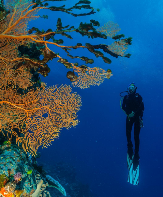 Janine Leal | Instagram