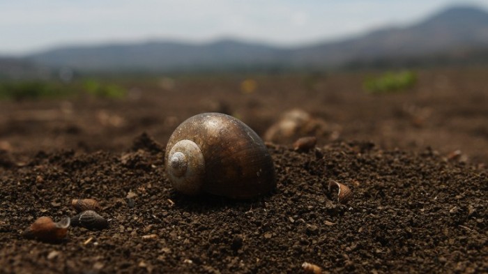 La dramática desaparición de una laguna en Guatemala