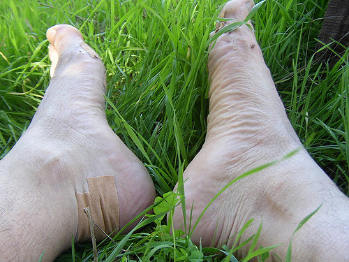 José Antonio Gil Martínez | Flickr (cc)